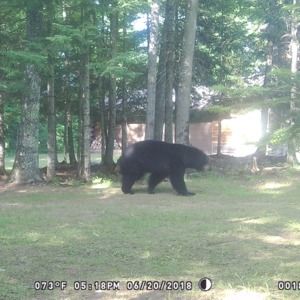 Meet your Posher, Cynthia